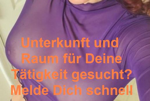 Neues Umfeld für Sextreffen gesucht / Weihnachtsangebot