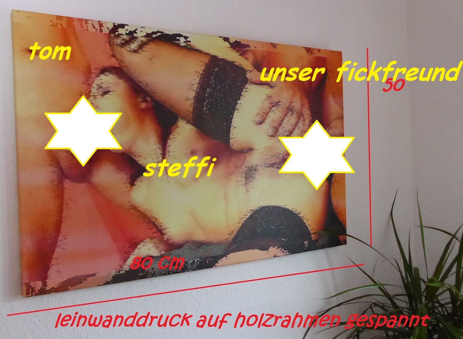 Verkaufen 2 Stück erotische Wandbilder